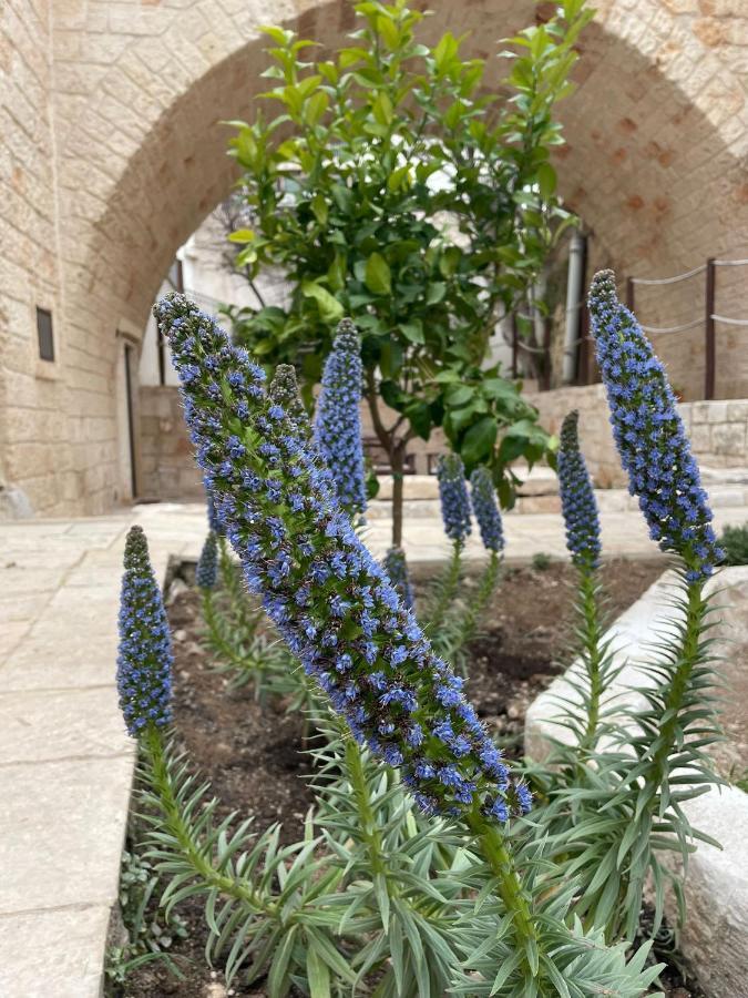 Lamanna Summer House Polignano a Mare Dış mekan fotoğraf